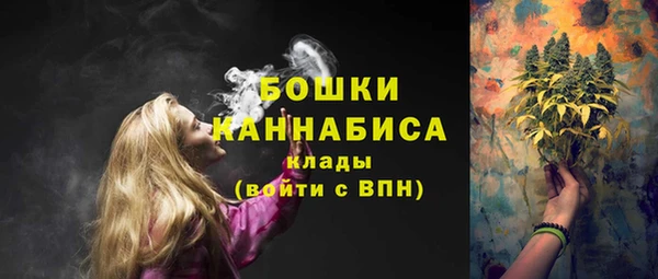 прущие крисы Бородино