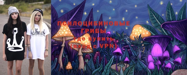 гидра Бугульма