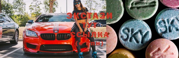 хмурый Сосновый Бор