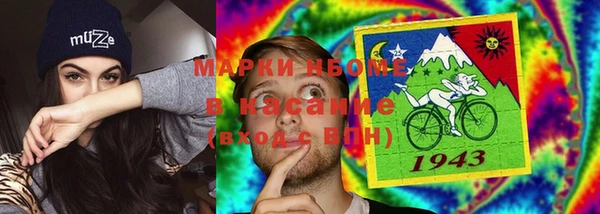 прущие крисы Бородино