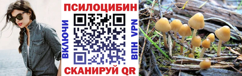 МЕГА ссылка  Сердобск  Галлюциногенные грибы Cubensis  цены наркотик 
